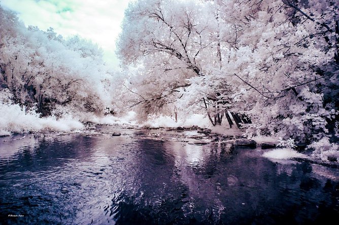 2. Europakreuzung in Richtung Stadtpark in Nordhausen (Foto: Christopher Salzmer) 2. Europakreuzung in Richtung Stadtpark in Nordhausen (Foto: Christopher Salzmer)