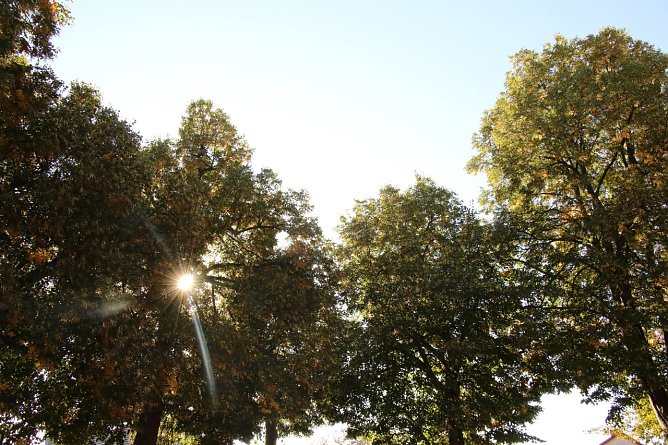 Wetterbild (Foto: agl) Wetterbild (Foto: agl)