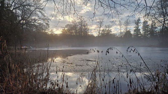 Wetterbild (Foto: agl)