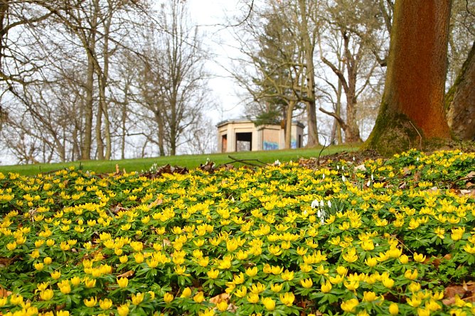 Wetterbild (Foto: agl)