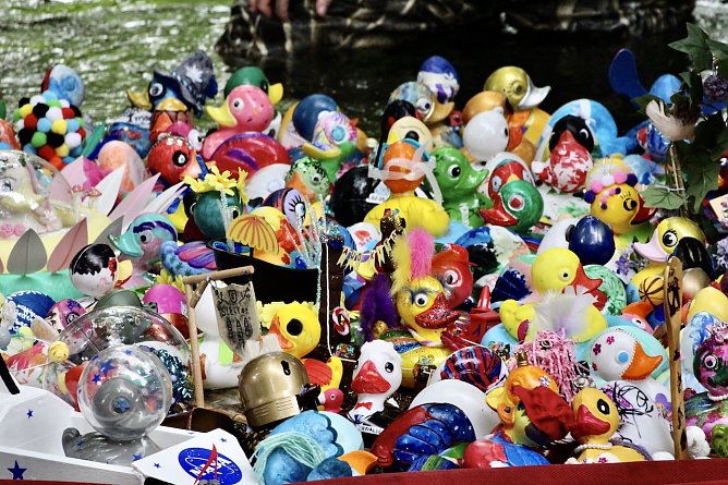 Entenrennen 2025 in Bad Langensalza (Archiv) (Foto: Eva Maria Wiegand)