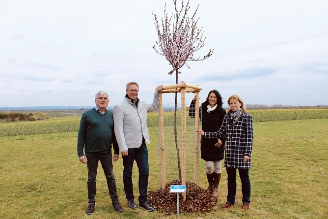 v.l.n.r.: Dr. Niels Lange (Gesch&auml;ftsf&uuml;hrer der Th&uuml;ringer Ehrenamtsstiftung), Robert B&ouml;hm (Gesch&auml;ftsf&uuml;hrer Universal Bau GmbH), Dr. Cornelia Haase-Lerch (Hauptgesch&auml;ftsf&uuml;hrerin der IHK Erfurt und Katrin Katzung (Juryvorsitzende von Gemeinsam engagiert) (Foto: Eva Maria Wiegand)