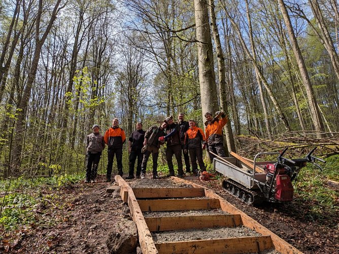 Gemeinsam im Einsatz: Ranger aus dem Nationalpark Kellerwald-Edersee und dem Nationalpark Hainich bei der Reparatur der Treppe am Betteleichenweg. (Foto: Jenny Kruspe)