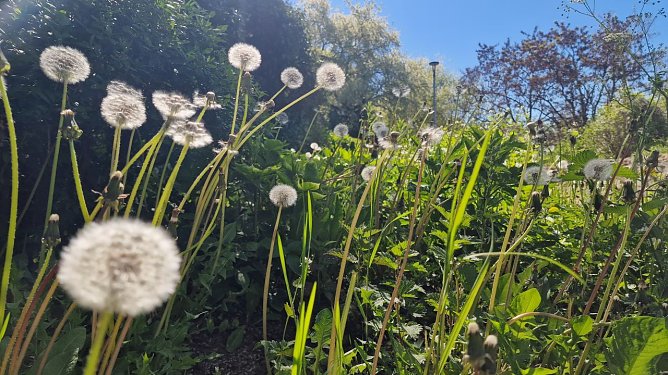 Wetterbild (Foto: agl)