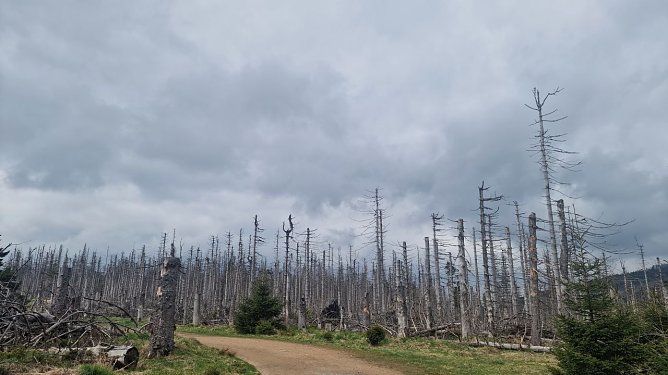 Wetterbild (Foto: agl) Wetterbild (Foto: agl)