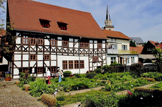 Museumsgarten im Apothekenmuseum in Bad Langensalza (Foto: Eva maria Wiegand)