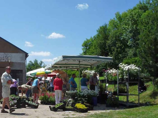 Kr&auml;uterfest in friedrichsrode (Foto: Kunsthof Friedrichsrode)