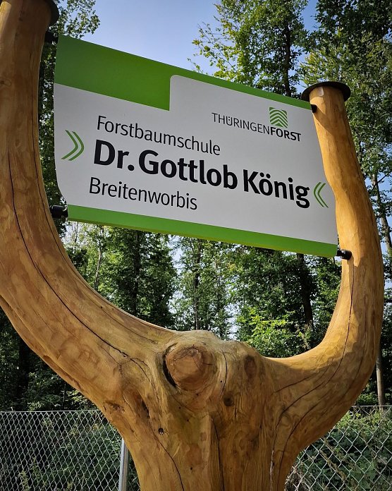 Bild: 1986 erhielt die Forstbaumschule Breitenworbis in W&uuml;rdigung eines gro&szlig;en Th&uuml;ringer Forstmannes den Namenszusatz Dr. Gottlob K&ouml;nig