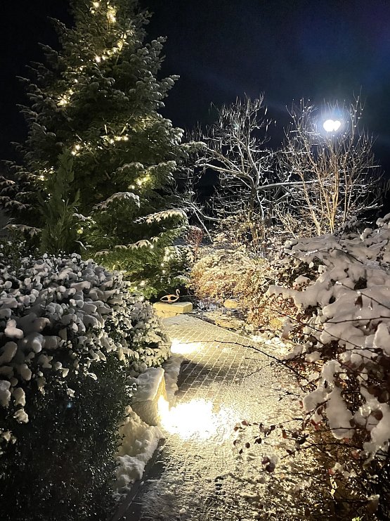 Bild: Momentaufnahme "Winterliche Gr&uuml;&szlig;e"