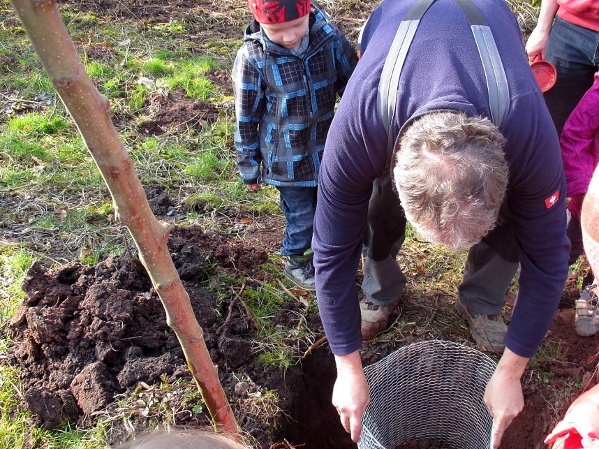 Pflanzaktion in Neustadt