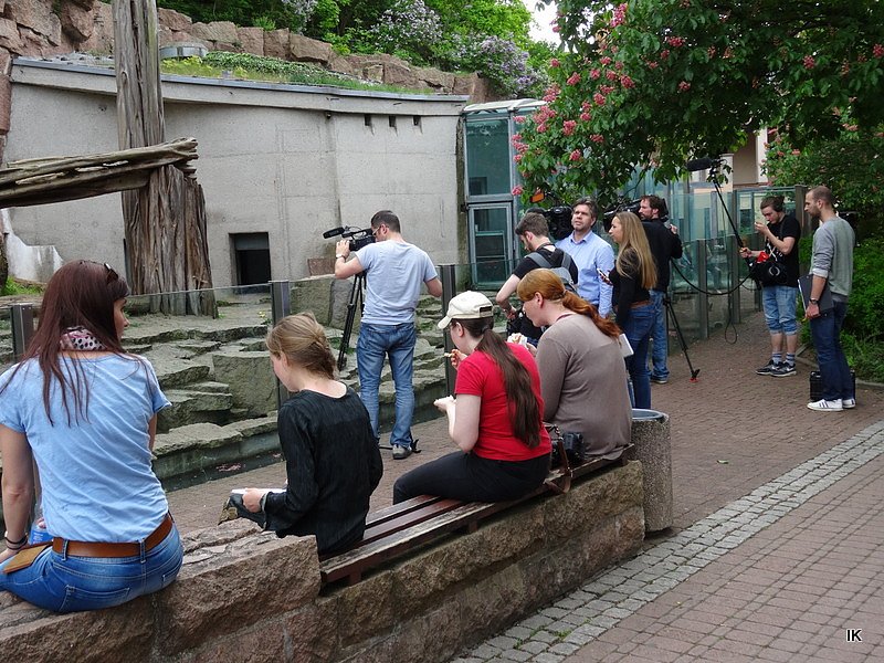 B&auml;rin Conny zieht nach Worbis