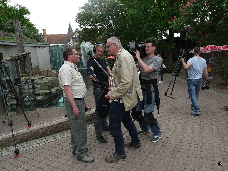 B&auml;rin Conny zieht nach Worbis