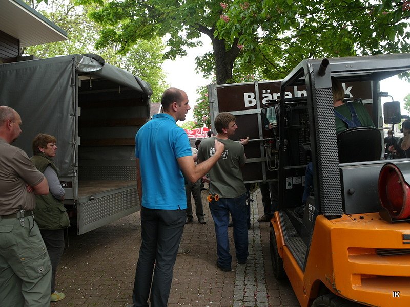 B&auml;rin Conny zieht nach Worbis
