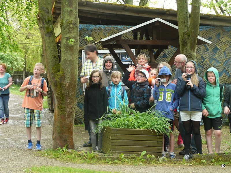 B&auml;rin Conny zieht nach Worbis