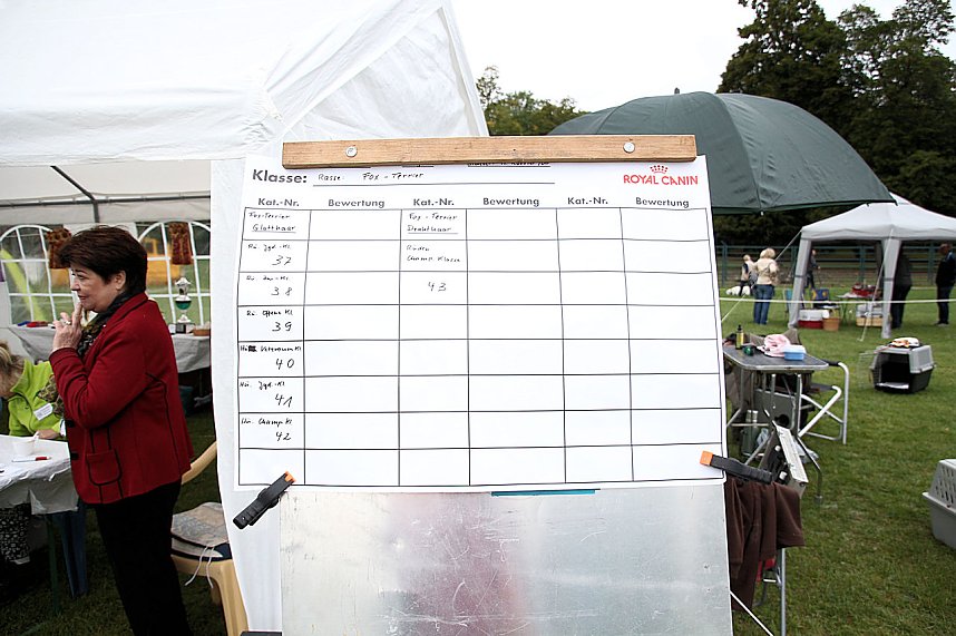 Hunde auf dem Possen