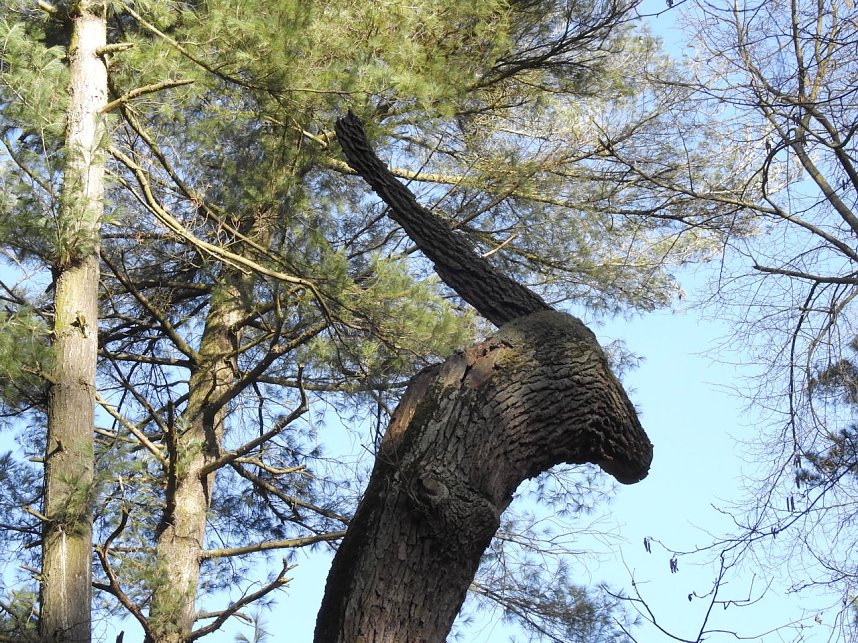 Peter Blei zu Besuch auf Schloss Oranienbaum