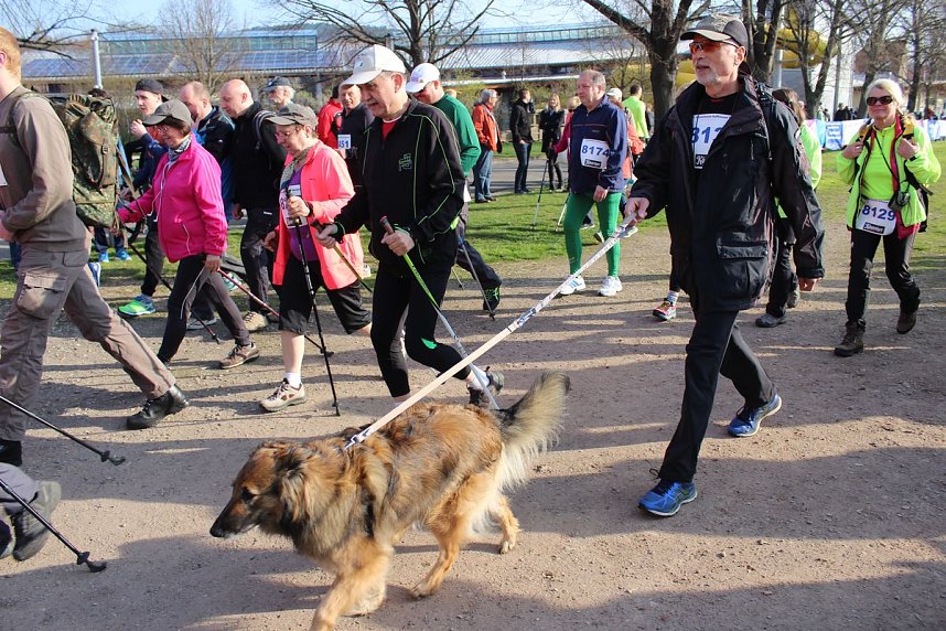 Impressionen vom 38. Kyffh&auml;user Berglauf