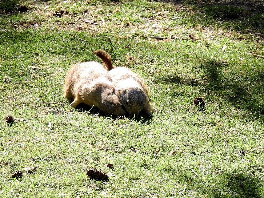 Peter Blei unterwegs in K&ouml;then