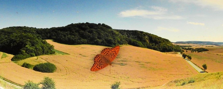 Peter Blei unterwegs - diesmal in der freien Natur und im Jugendwaldheim Rathsfeld