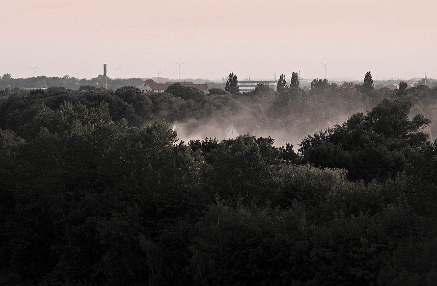Spinnen im Mondschein am Goitzsche See