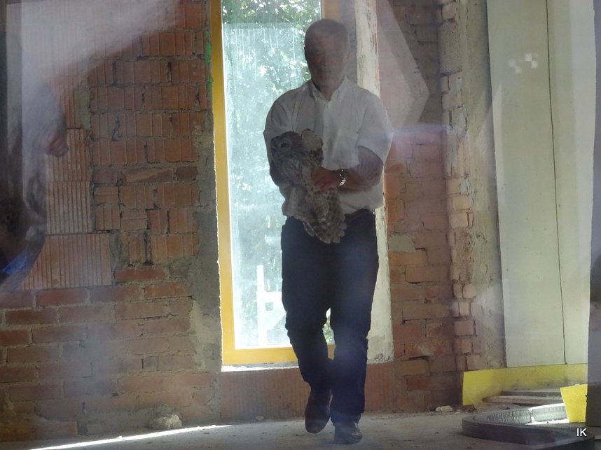 Rotarier auf Burg Scharfenstein