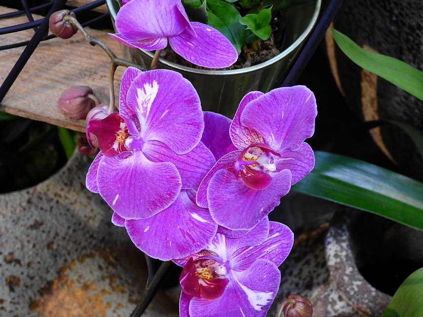 25 Jahre Keramikscheune Spickendorf