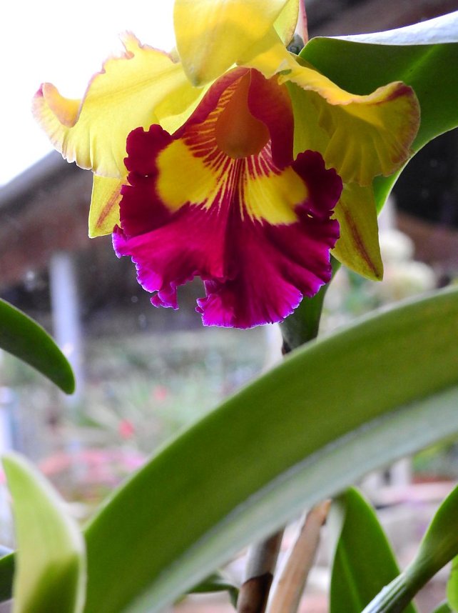 25 Jahre Keramikscheune Spickendorf