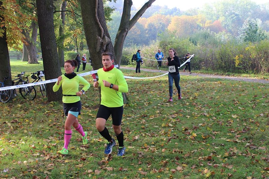 Die langen Strecken beim Stadtparklauf