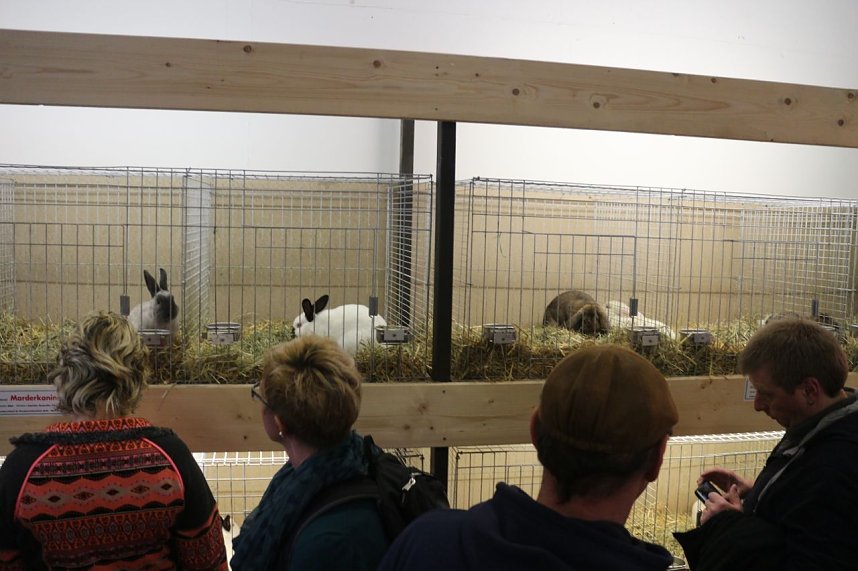 Gr&uuml;ne Woche 2017 in Berlin