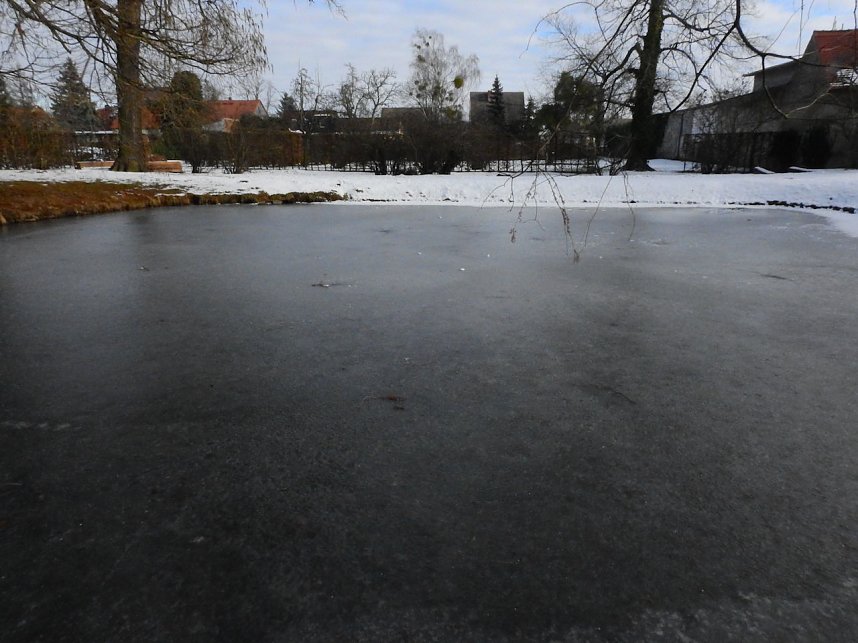 Peter Blei unterwegs - Schloss Mosigkau