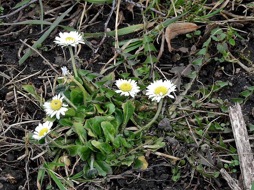 Spuren des Fr&uuml;hlings