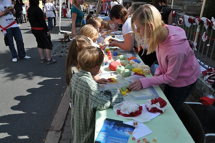 Stra&szlig;enfest der Pro Vita Akademie