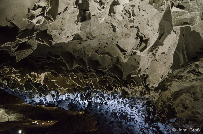 Fotofreunde aufgepasst