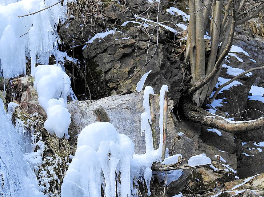 Peter Blei unterwegs im Harz