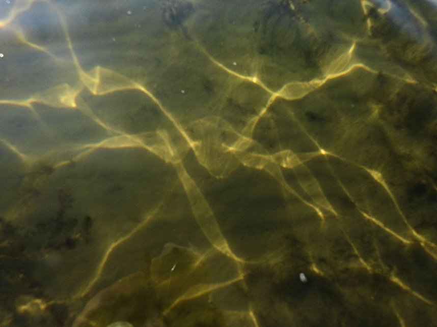 Lichtspiele am Seelhausener See