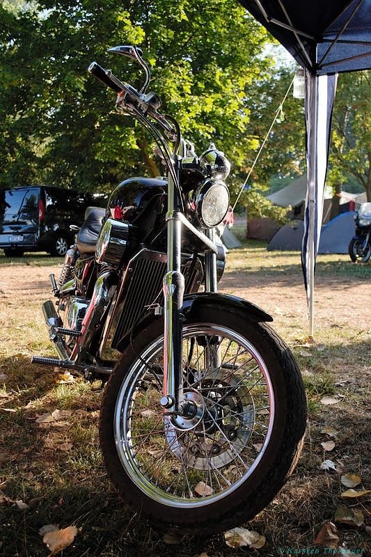 Emmenrausch am Stausee Kelbra