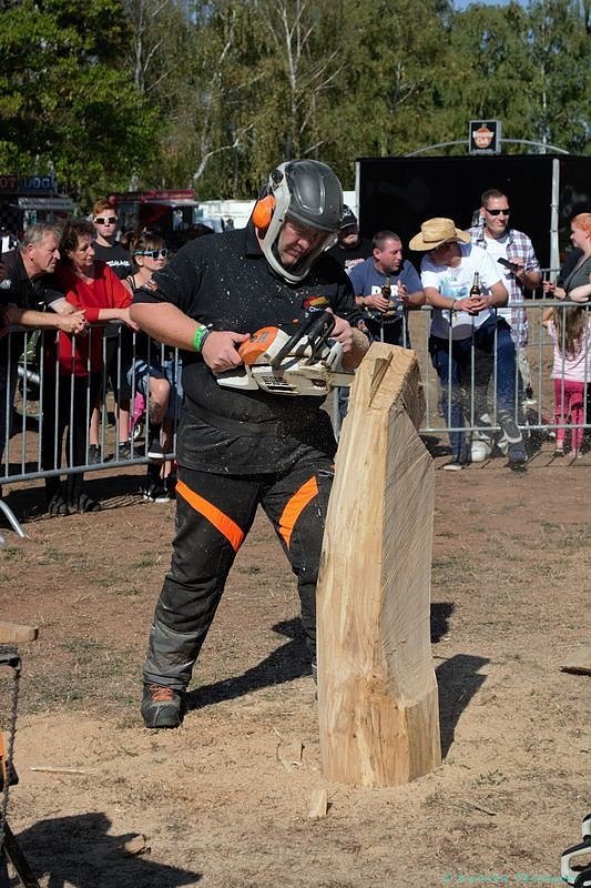 Emmenrausch am Stausee Kelbra