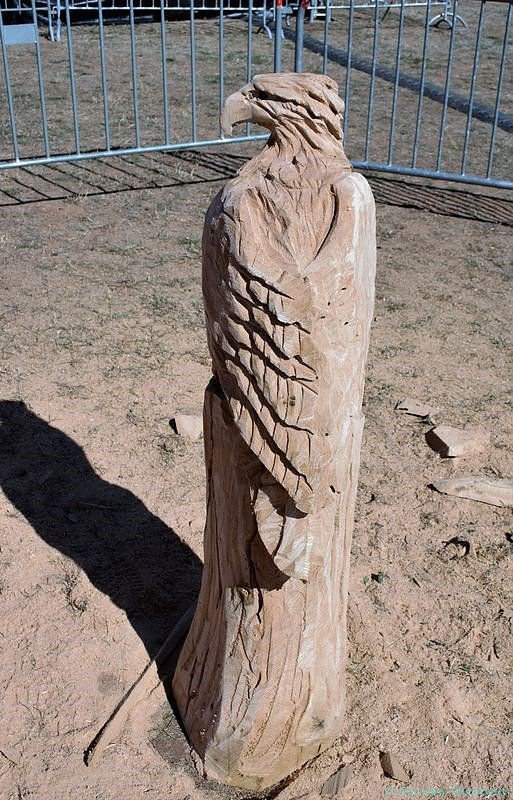 Emmenrausch am Stausee Kelbra