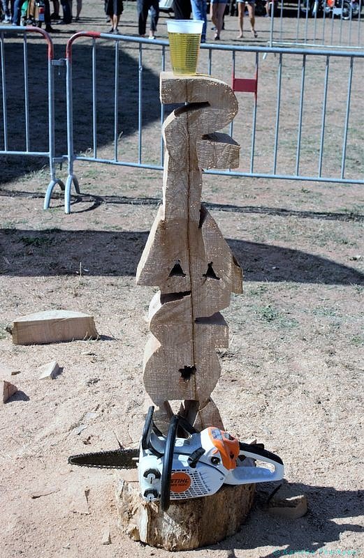 Emmenrausch am Stausee Kelbra