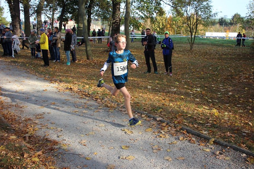 Stadtparklauf in Sondershausen (2)