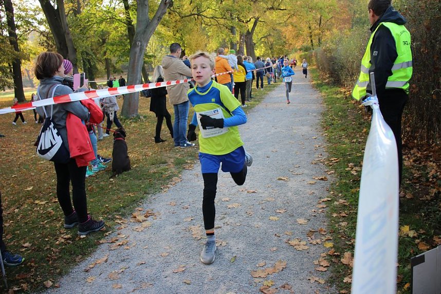Stadtparklauf in Sondershausen (2)