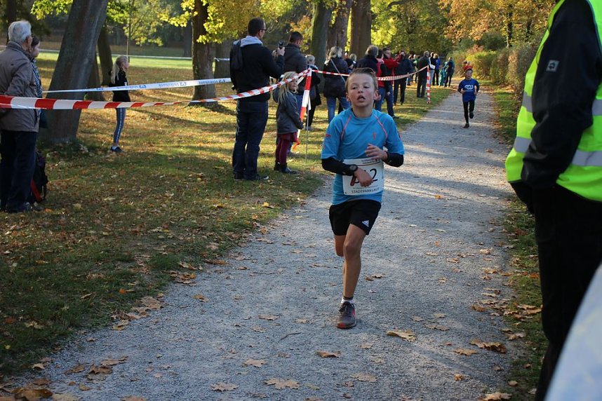 Stadtparklauf in Sondershausen (2)