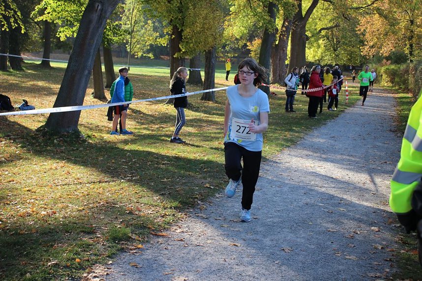 Stadtparklauf in Sondershausen (2)