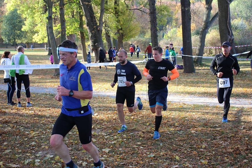 Stadtparklauf in Sondershausen (2)