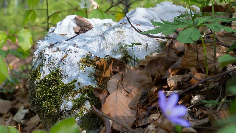 Wandern und Fotografieren