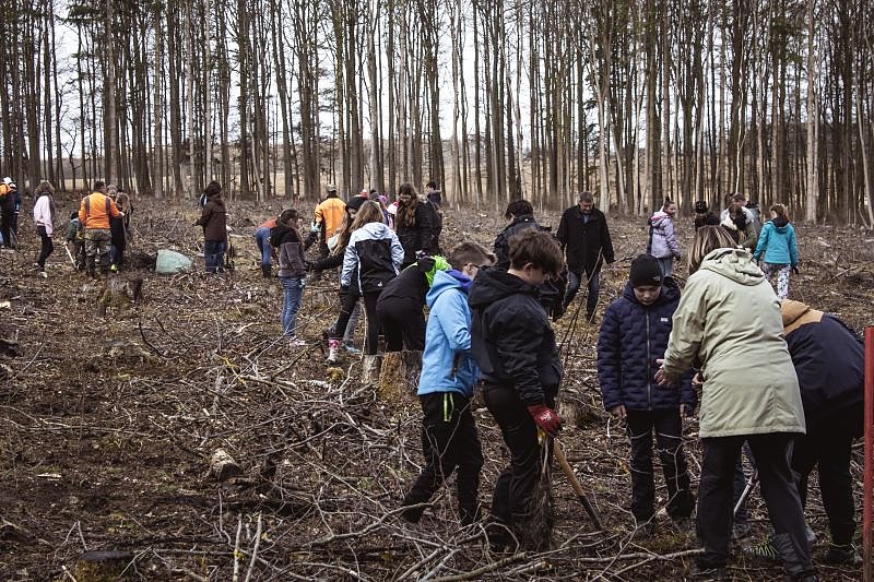 Aktion im M&uuml;hlh&auml;user Stadtwald