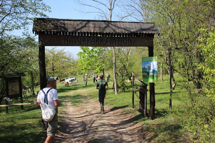 Gro&szlig;artiger MDR Osterspaziergang in Bad Frankenhausen