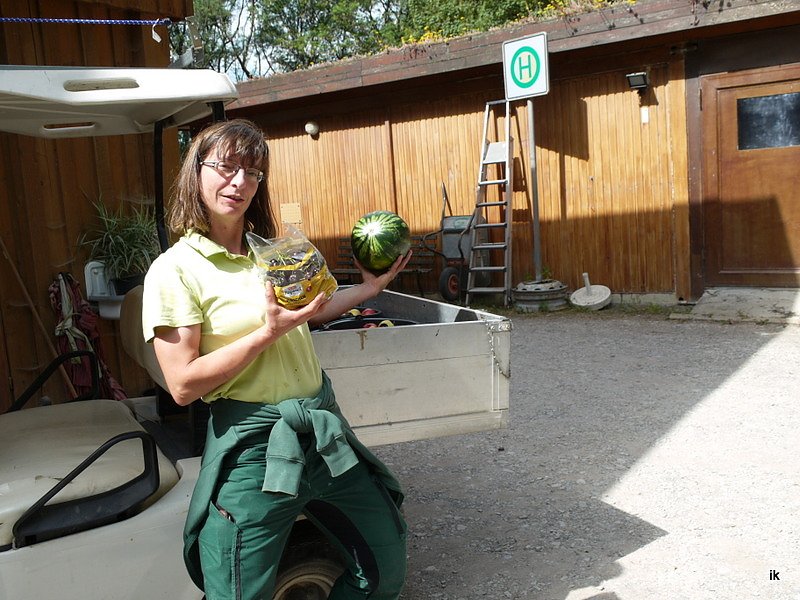Spende f&uuml;r den B&auml;renpark
