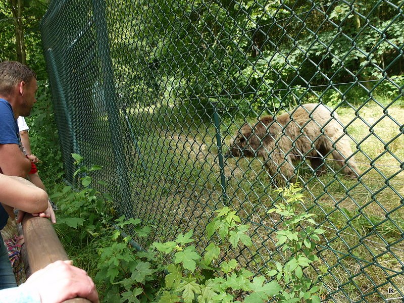Spende f&uuml;r den B&auml;renpark