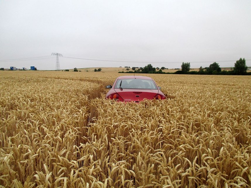Kein Bett im Kornfeld